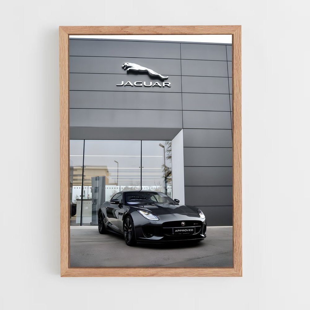 Poster Jaguar Elegance (vue 4)